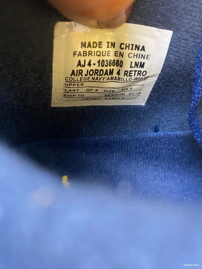 HYPE Air Michigan (PE) 4 AJ4-1036660 Jordan Retro 0804